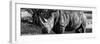 Awesome South Africa Collection Panoramic - Black Rhino B&W II-Philippe Hugonnard-Framed Photographic Print