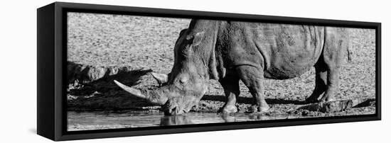 Awesome South Africa Collection Panoramic - Black Rhino B&W III-Philippe Hugonnard-Framed Stretched Canvas