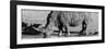 Awesome South Africa Collection Panoramic - Black Rhino B&W III-Philippe Hugonnard-Framed Photographic Print