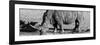 Awesome South Africa Collection Panoramic - Black Rhino B&W III-Philippe Hugonnard-Framed Photographic Print