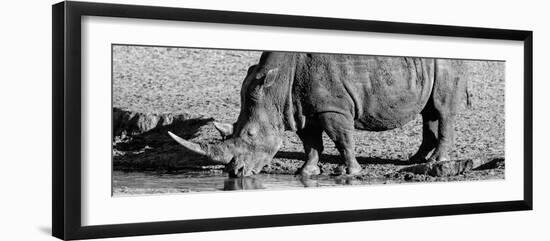 Awesome South Africa Collection Panoramic - Black Rhino B&W III-Philippe Hugonnard-Framed Photographic Print