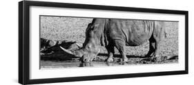 Awesome South Africa Collection Panoramic - Black Rhino B&W III-Philippe Hugonnard-Framed Photographic Print