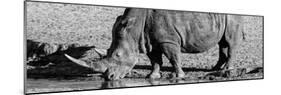 Awesome South Africa Collection Panoramic - Black Rhino B&W III-Philippe Hugonnard-Mounted Photographic Print