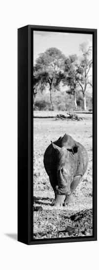 Awesome South Africa Collection Panoramic - Black Rhino B&W-Philippe Hugonnard-Framed Stretched Canvas