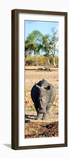 Awesome South Africa Collection Panoramic - Black Rhino-Philippe Hugonnard-Framed Photographic Print