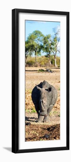 Awesome South Africa Collection Panoramic - Black Rhino-Philippe Hugonnard-Framed Photographic Print