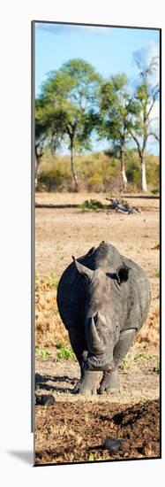 Awesome South Africa Collection Panoramic - Black Rhino-Philippe Hugonnard-Mounted Photographic Print