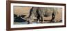 Awesome South Africa Collection Panoramic - Black Rhinoceros-Philippe Hugonnard-Framed Photographic Print