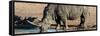 Awesome South Africa Collection Panoramic - Black Rhinoceros-Philippe Hugonnard-Framed Stretched Canvas