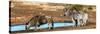 Awesome South Africa Collection Panoramic - Blue Wildebeest and Two Burchell's Zebra-Philippe Hugonnard-Stretched Canvas