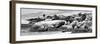 Awesome South Africa Collection Panoramic - Boulders Beach View II B&W-Philippe Hugonnard-Framed Photographic Print
