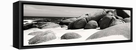Awesome South Africa Collection Panoramic - Boulders on Beach B&W-Philippe Hugonnard-Framed Stretched Canvas