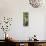 Awesome South Africa Collection Panoramic - Cactus-Philippe Hugonnard-Stretched Canvas displayed on a wall