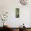 Awesome South Africa Collection Panoramic - Cactus-Philippe Hugonnard-Mounted Photographic Print displayed on a wall