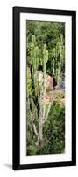 Awesome South Africa Collection Panoramic - Cactus-Philippe Hugonnard-Framed Photographic Print