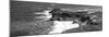 Awesome South Africa Collection Panoramic - Cape of Good Hope B&W-Philippe Hugonnard-Mounted Photographic Print