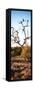 Awesome South Africa Collection Panoramic - Cape Vulture on a Tree at Sunrise-Philippe Hugonnard-Framed Stretched Canvas