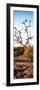 Awesome South Africa Collection Panoramic - Cape Vulture on a Tree at Sunrise-Philippe Hugonnard-Framed Photographic Print