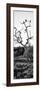 Awesome South Africa Collection Panoramic - Cape Vulture on a Tree B&W-Philippe Hugonnard-Framed Photographic Print