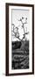 Awesome South Africa Collection Panoramic - Cape Vulture on a Tree B&W-Philippe Hugonnard-Framed Photographic Print