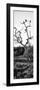 Awesome South Africa Collection Panoramic - Cape Vulture on a Tree B&W-Philippe Hugonnard-Framed Photographic Print