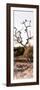 Awesome South Africa Collection Panoramic - Cape Vulture on a Tree-Philippe Hugonnard-Framed Photographic Print