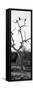 Awesome South Africa Collection Panoramic - Cape Vulture Tree II B&W-Philippe Hugonnard-Framed Stretched Canvas
