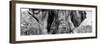 Awesome South Africa Collection Panoramic - Close-Up of Elephant B&W-Philippe Hugonnard-Framed Photographic Print