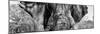 Awesome South Africa Collection Panoramic - Close-Up of Elephant B&W-Philippe Hugonnard-Mounted Photographic Print