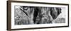 Awesome South Africa Collection Panoramic - Close-Up of Elephant B&W-Philippe Hugonnard-Framed Premium Photographic Print
