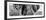 Awesome South Africa Collection Panoramic - Close-Up of Elephant B&W-Philippe Hugonnard-Framed Premium Photographic Print