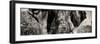 Awesome South Africa Collection Panoramic - Close-Up of Elephant II-Philippe Hugonnard-Framed Photographic Print