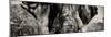 Awesome South Africa Collection Panoramic - Close-Up of Elephant II-Philippe Hugonnard-Mounted Photographic Print