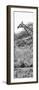 Awesome South Africa Collection Panoramic - Close-Up of Giraffe B&W-Philippe Hugonnard-Framed Photographic Print