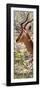 Awesome South Africa Collection Panoramic - Close-Up of Impala-Philippe Hugonnard-Framed Photographic Print