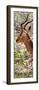 Awesome South Africa Collection Panoramic - Close-Up of Impala-Philippe Hugonnard-Framed Premium Photographic Print