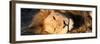 Awesome South Africa Collection Panoramic - Close-Up Portrait of a sleeping Lion-Philippe Hugonnard-Framed Photographic Print