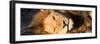 Awesome South Africa Collection Panoramic - Close-Up Portrait of a sleeping Lion-Philippe Hugonnard-Framed Photographic Print