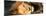 Awesome South Africa Collection Panoramic - Close-Up Portrait of a sleeping Lion-Philippe Hugonnard-Mounted Photographic Print