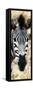 Awesome South Africa Collection Panoramic - Close-up Zebra Portrait III-Philippe Hugonnard-Framed Stretched Canvas