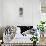 Awesome South Africa Collection Panoramic - Close-up Zebra Portrait-Philippe Hugonnard-Stretched Canvas displayed on a wall