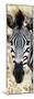 Awesome South Africa Collection Panoramic - Close-up Zebra Portrait-Philippe Hugonnard-Mounted Photographic Print