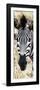 Awesome South Africa Collection Panoramic - Close-up Zebra Portrait-Philippe Hugonnard-Framed Photographic Print