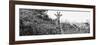 Awesome South Africa Collection Panoramic - Curious Giraffe B&W-Philippe Hugonnard-Framed Photographic Print