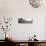 Awesome South Africa Collection Panoramic - Curious Giraffe B&W-Philippe Hugonnard-Stretched Canvas displayed on a wall