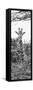 Awesome South Africa Collection Panoramic - Curious Giraffe II B&W-Philippe Hugonnard-Framed Stretched Canvas