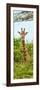 Awesome South Africa Collection Panoramic - Curious Giraffe II-Philippe Hugonnard-Framed Photographic Print