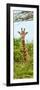 Awesome South Africa Collection Panoramic - Curious Giraffe II-Philippe Hugonnard-Framed Photographic Print