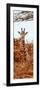 Awesome South Africa Collection Panoramic - Curious Giraffe with Red Savanna II-Philippe Hugonnard-Framed Photographic Print