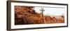 Awesome South Africa Collection Panoramic - Curious Giraffe with Red Savanna-Philippe Hugonnard-Framed Photographic Print